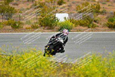 media/May-10-2024-2WTD (Fri) [[c88d7990af]]/Group B/Session 2-The Bowl/